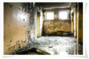 Water damaged basement